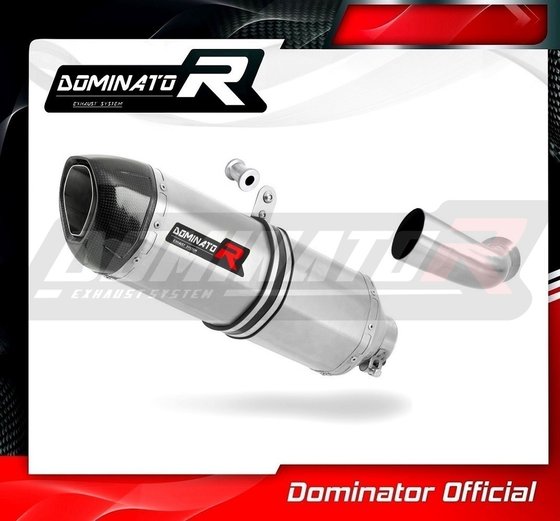 BW021DF-S Dominator exhaust silencer hp1