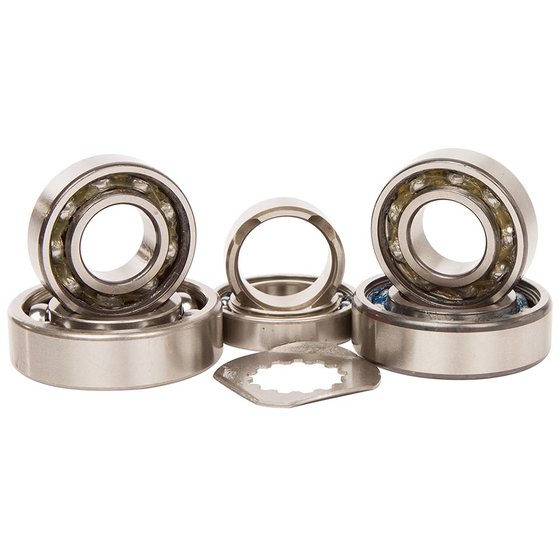 TBK0067 Hot Rods transmission bearing kit