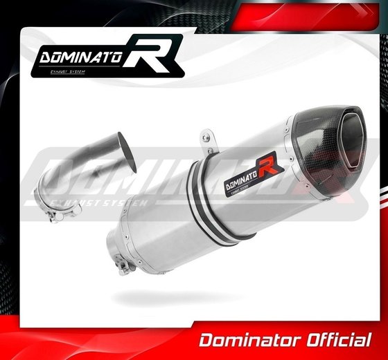 BW077DF-S Dominator exhaust silencer hp1