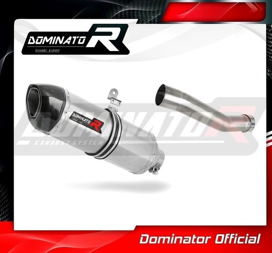 AP035DF-S Dominator exhaust silencer hp1