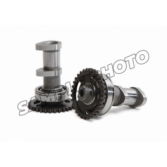 HC 4054-2IN Hot Cams intake camshaft