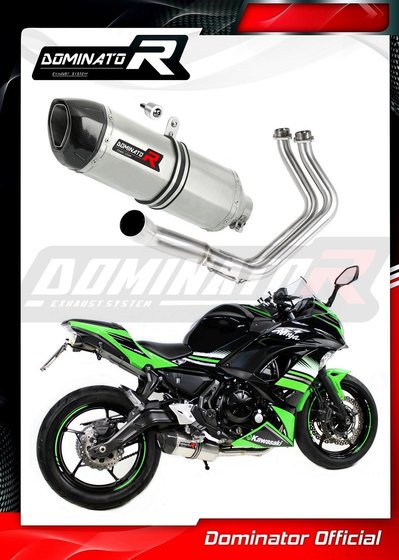 KA068DF-S Dominator exhaust silencer hp1