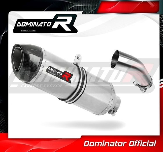 SU087DFF-S Dominator exhaust silencer hp1