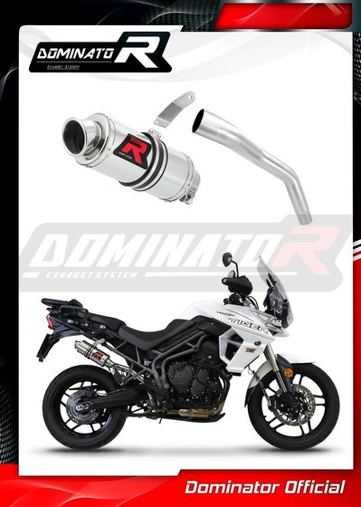 TR020DC-S Dominator exhaust silencer gp1