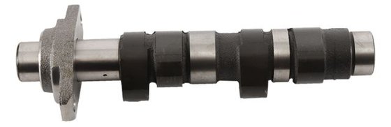 HC 1043-2 Hot Cams camshaft