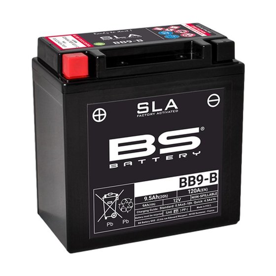 300675 BS BATTERY sla battery 12v 115a