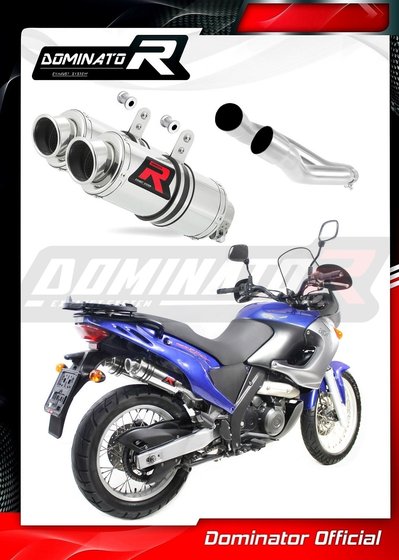 AP021DC-S Dominator exhaust silencer gp1