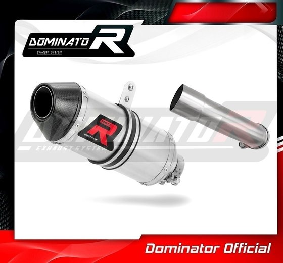 KT063DF-S Dominator exhaust silencer hp3