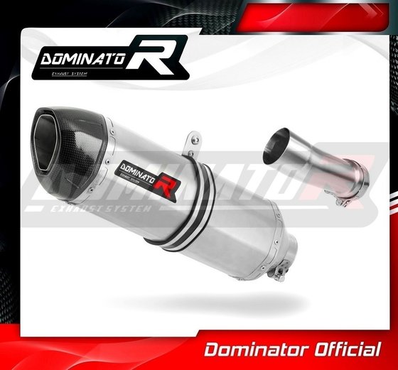 BW093DF-H Dominator homologated exhaust silencer hp1