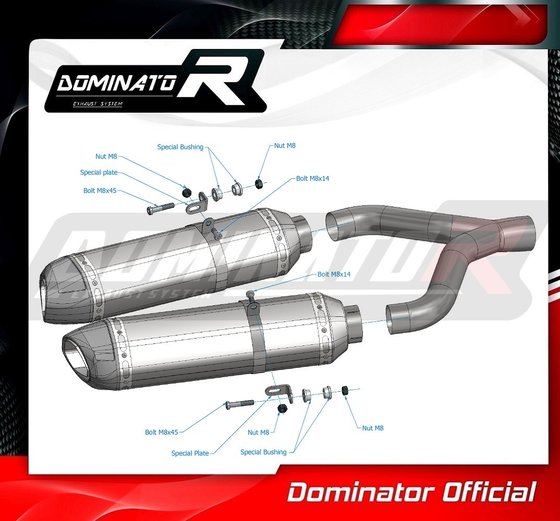 AP029DF-S Dominator exhaust silencer hp1