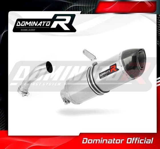 BW018DF-S Dominator exhaust silencer muffler hp1