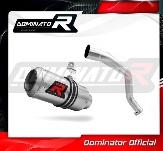 HO029DC1-S Dominator exhaust silencer gp