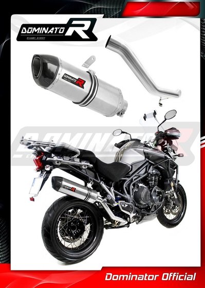 TR012DF-S Dominator exhaust silencer hp1