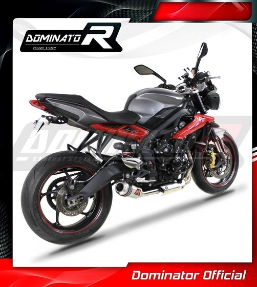 TR013DC-S Dominator exhaust silencer gp