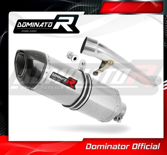 SU044DF-S Dominator exhaust silencer hp1