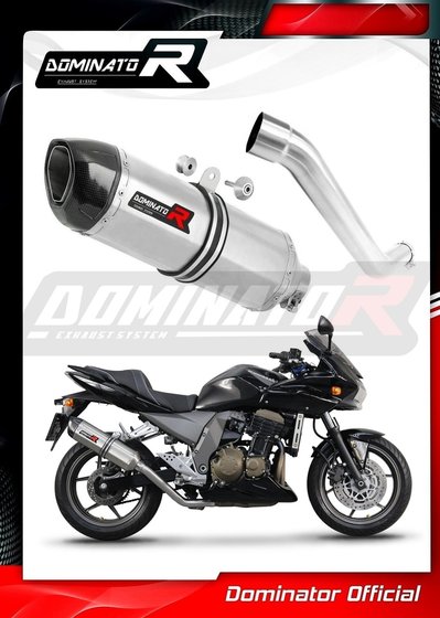 KA020DF-S Dominator exhaust silencer muffler hp1