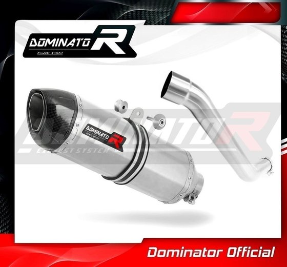 KA020DF-S Dominator exhaust silencer muffler hp1