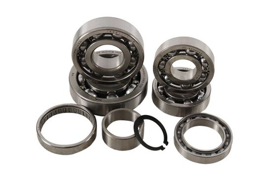 TBK0032 Hot Rods transmission bearing kit