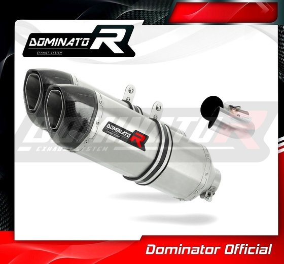 DU015DF-S Dominator exhaust silencer hp1