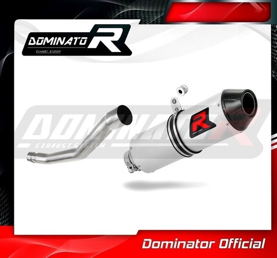 YA125DE-S Dominator exhaust silencer mx2