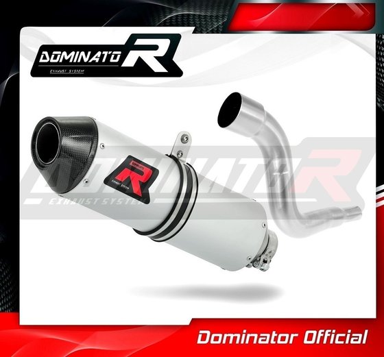 KA011DE-S Dominator exhaust silencer mx2