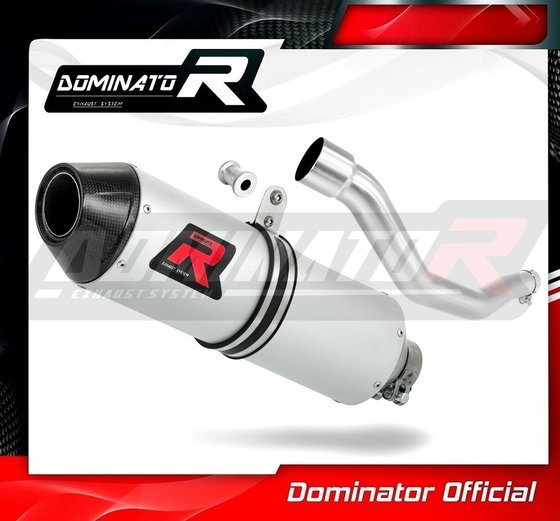 YA055DE-S Dominator exhaust silencer mx2