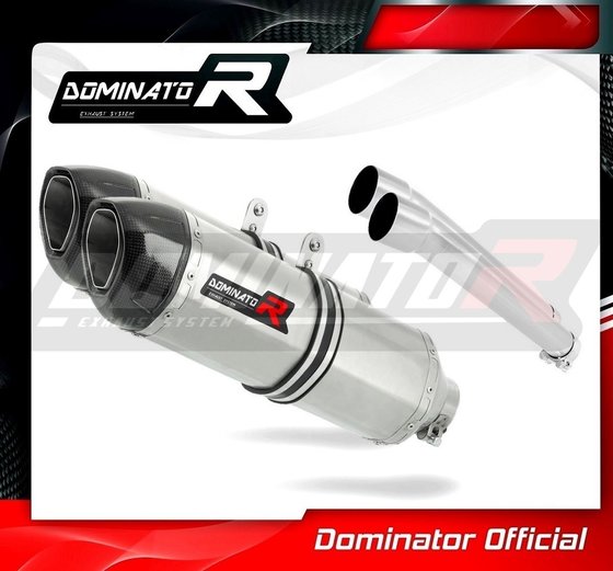 DU010DF-S Dominator exhaust silencer  hp1