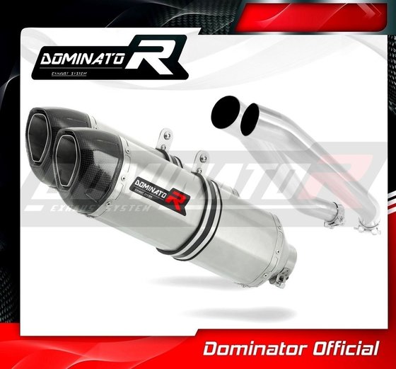 KA022DF-S Dominator exhaust silencer hp1