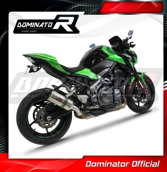 KA055DF-S Dominator exhaust silencer hp1