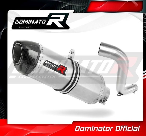 HO076DF-S Dominator exhaust silencer hp1