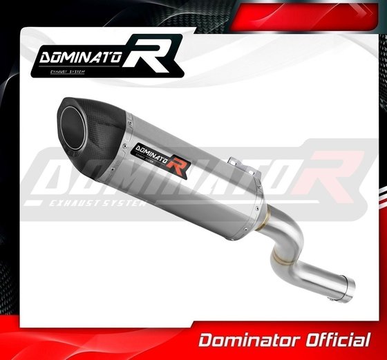 BW100DF-S Dominator exhaust silencer hp5