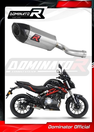 BE002DF-S Dominator exhaust silencer muffler hp5