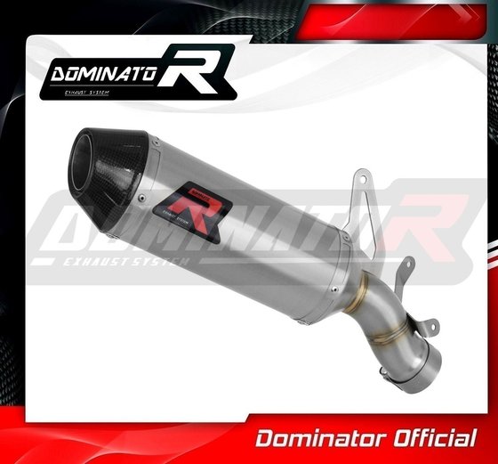 DU028DF-S Dominator exhaust silencer hp3