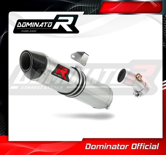 KA041DF-S Dominator exhaust silencer hp2