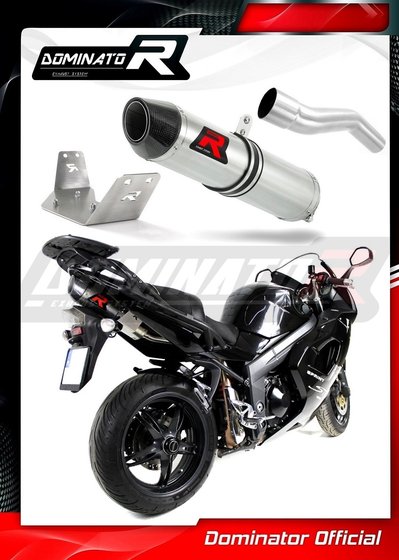 TR009DF-S Dominator exhaust silencer hp2