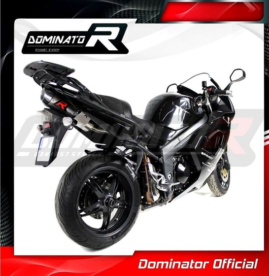 TR009DF-S Dominator exhaust silencer hp2