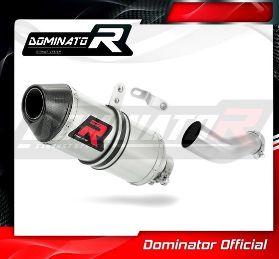 SU004DF-S Dominator exhaust silencer hp3