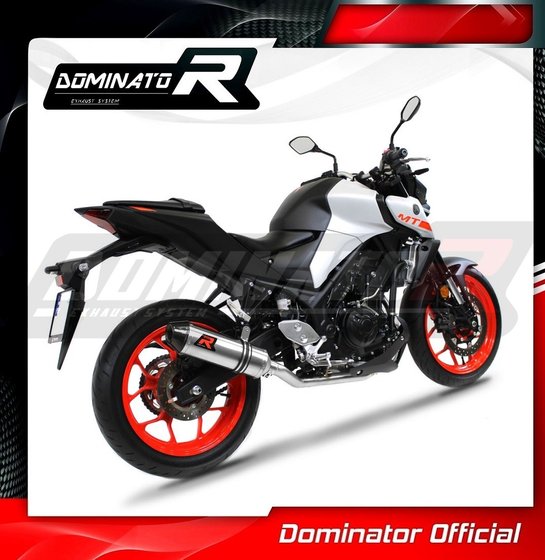 YA075DF-S Dominator exhaust full system silencer hp3