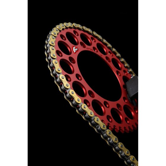 C241 RENTHAL r1 works chain 420x120