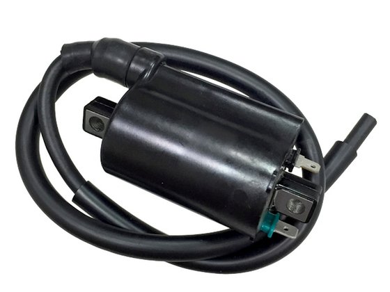 AT-01343 NACHMAN ignition coil