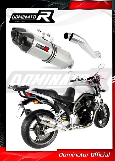 YA036DF-S Dominator exhaust silencer hp1