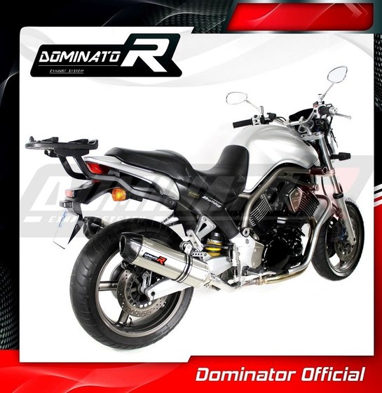 YA036DF-S Dominator exhaust silencer hp1