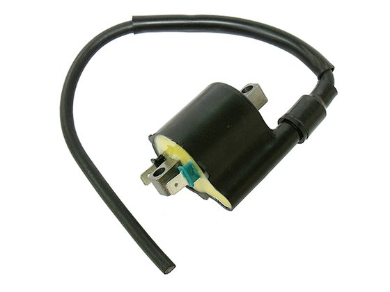 AT-01337 NACHMAN ignition coil