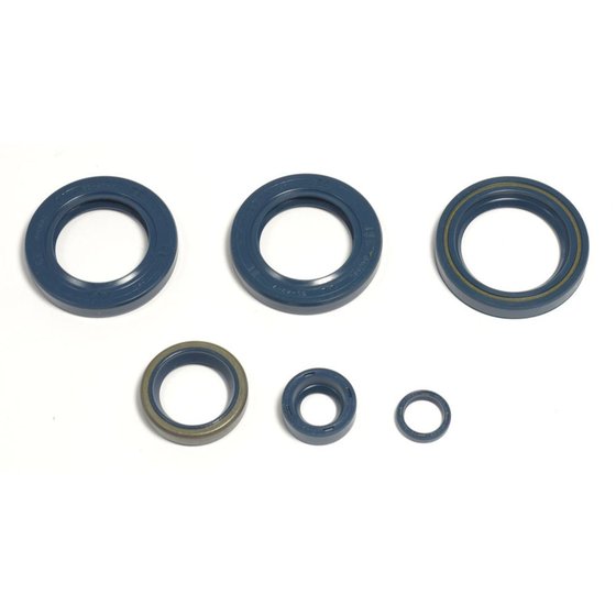 P400270400051 ATHENA engine oil seals kit