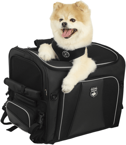 NELSON RIGG route 1 rover pet carrier