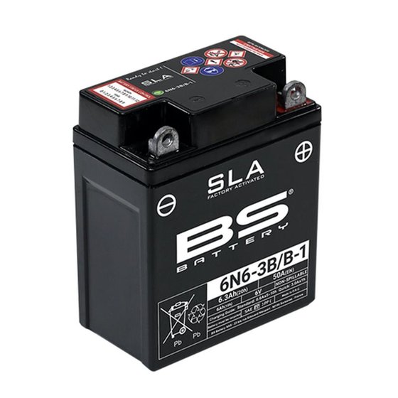 300916 BS BATTERY 6n4-2a/a-4 battery