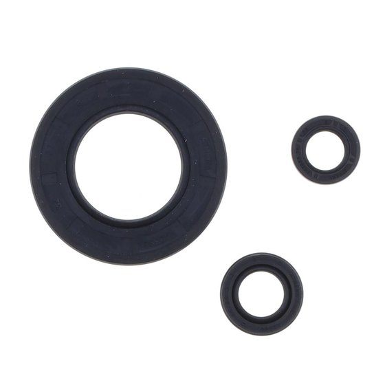 P400250400033 ATHENA engine oil seals kit