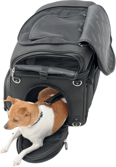 EX000627 SADDLEMEN pet carrier synthetic leather black