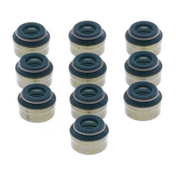 P400110420055 ATHENA valve seal set