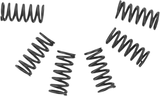 CSK002 EBC csk series heavy duty clutch spring kits